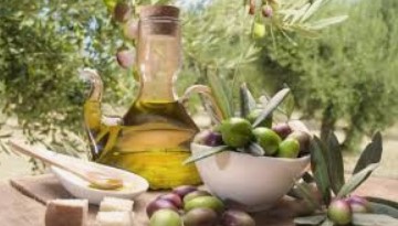 L'olivier l'olive l'huile.jpg